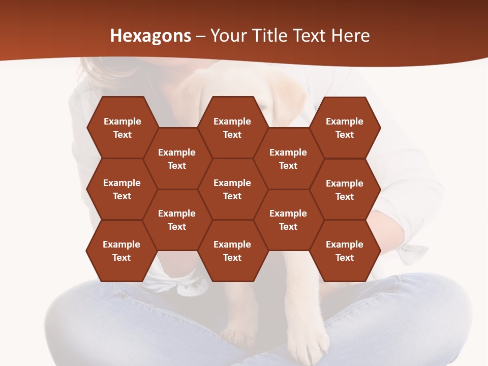 A Woman Sitting On The Floor Holding A Puppy PowerPoint Template