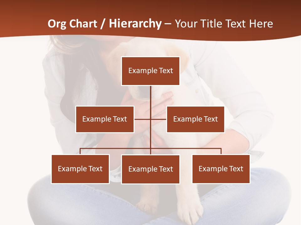 A Woman Sitting On The Floor Holding A Puppy PowerPoint Template