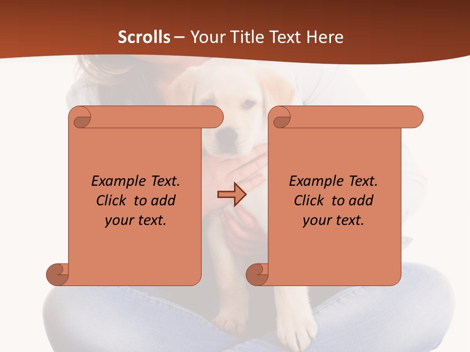 A Woman Sitting On The Floor Holding A Puppy PowerPoint Template