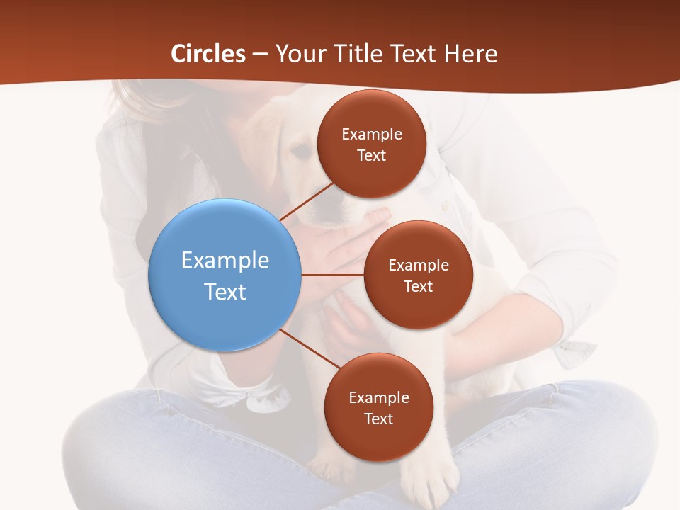 A Woman Sitting On The Floor Holding A Puppy PowerPoint Template