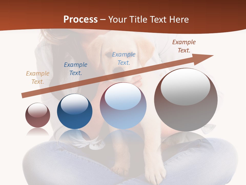 A Woman Sitting On The Floor Holding A Puppy PowerPoint Template