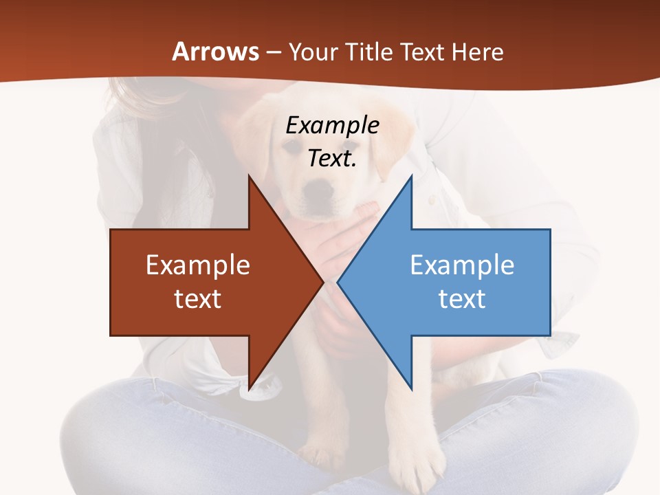 A Woman Sitting On The Floor Holding A Puppy PowerPoint Template