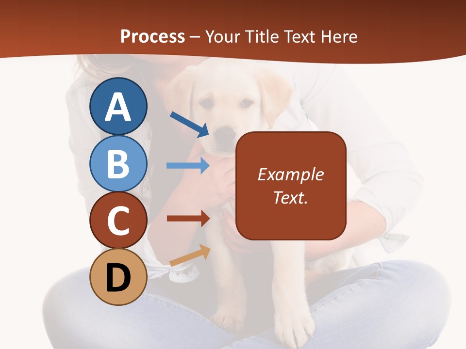 A Woman Sitting On The Floor Holding A Puppy PowerPoint Template