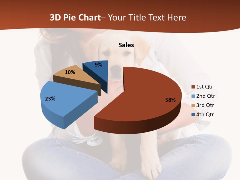 A Woman Sitting On The Floor Holding A Puppy PowerPoint Template