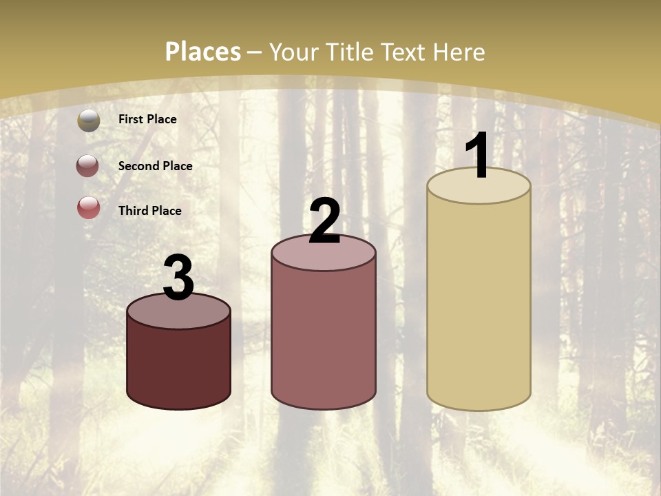 A Sunlit Forest Powerpoint Presentation PowerPoint Template