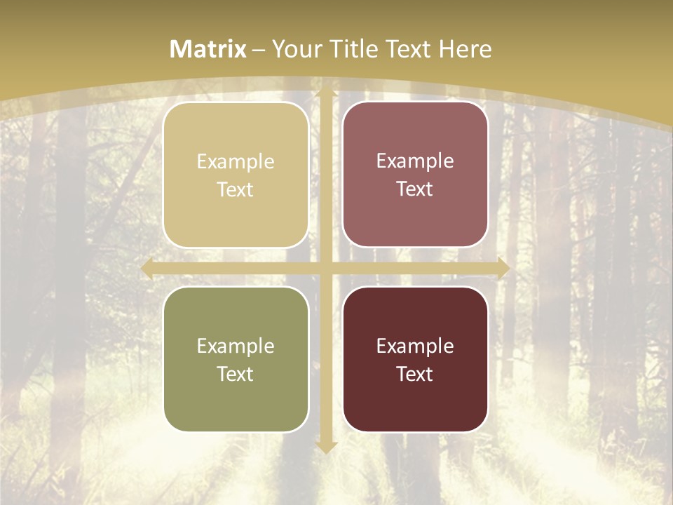 A Sunlit Forest Powerpoint Presentation PowerPoint Template