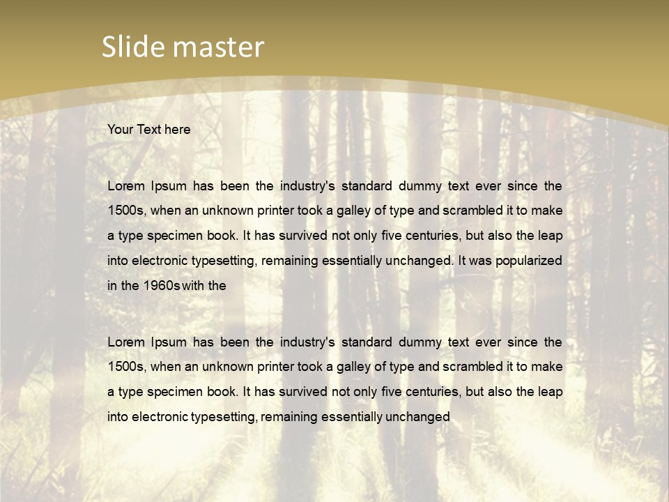 A Sunlit Forest Powerpoint Presentation PowerPoint Template