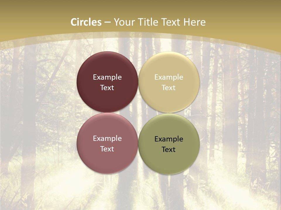 A Sunlit Forest Powerpoint Presentation PowerPoint Template