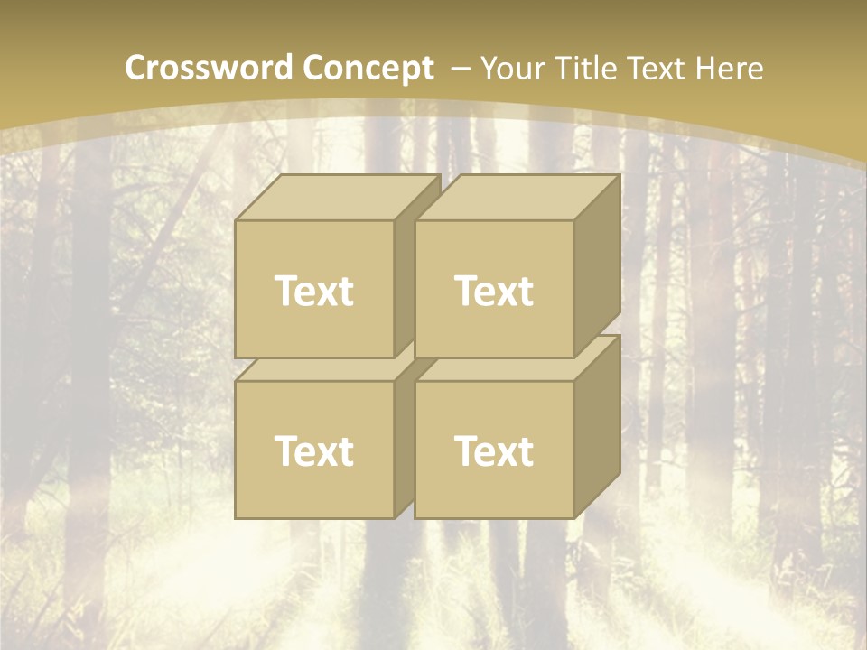 A Sunlit Forest Powerpoint Presentation PowerPoint Template