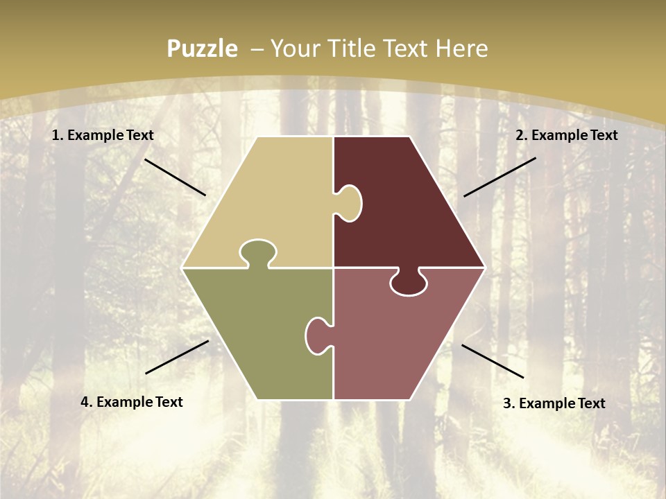 A Sunlit Forest Powerpoint Presentation PowerPoint Template