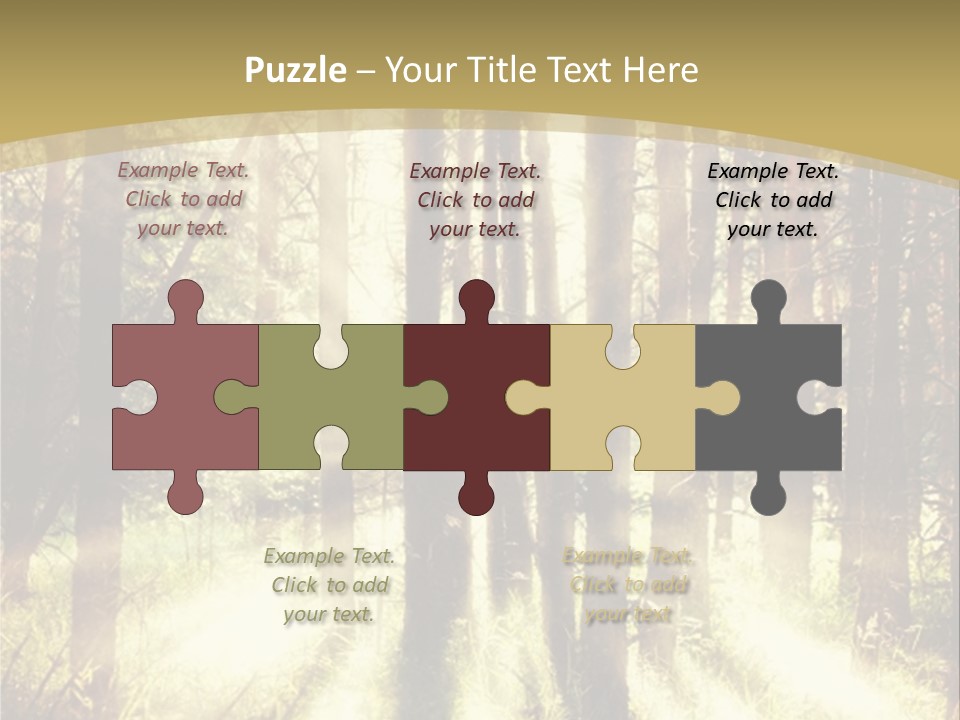 A Sunlit Forest Powerpoint Presentation PowerPoint Template