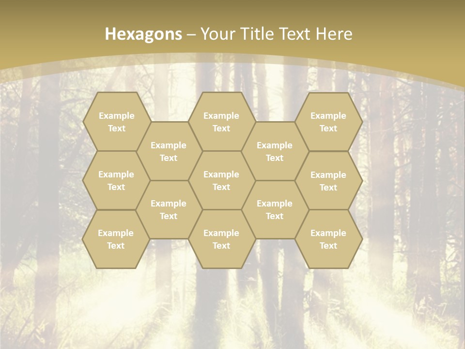 A Sunlit Forest Powerpoint Presentation PowerPoint Template