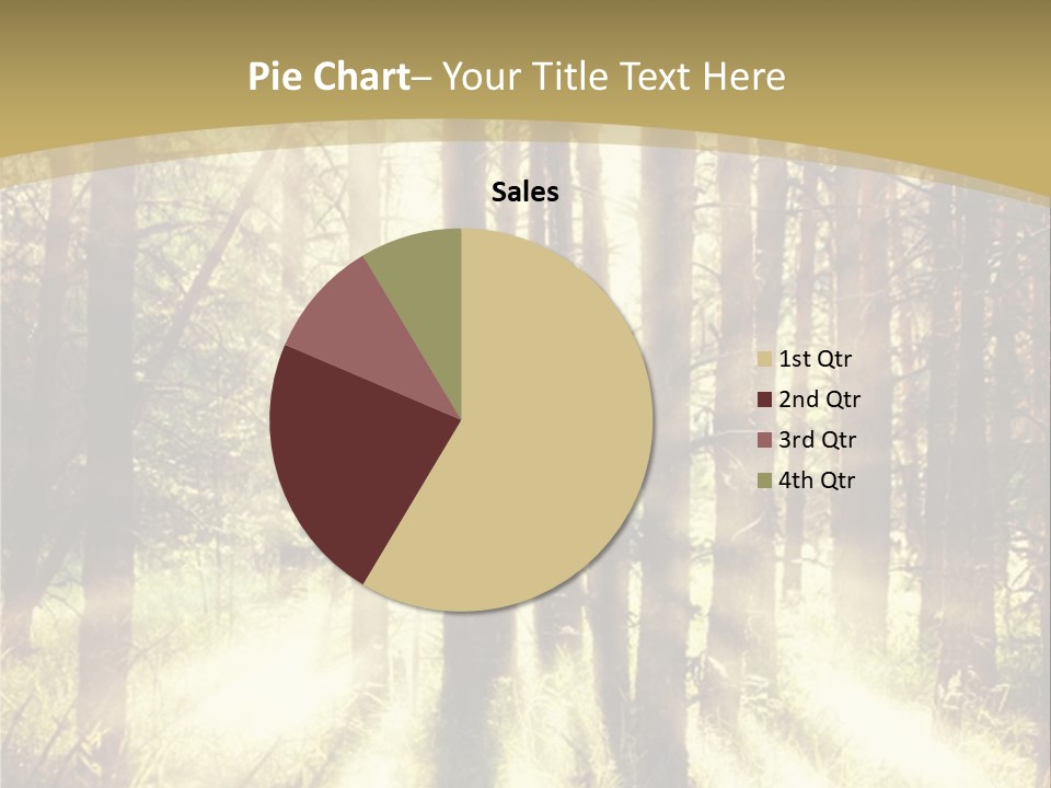 A Sunlit Forest Powerpoint Presentation PowerPoint Template