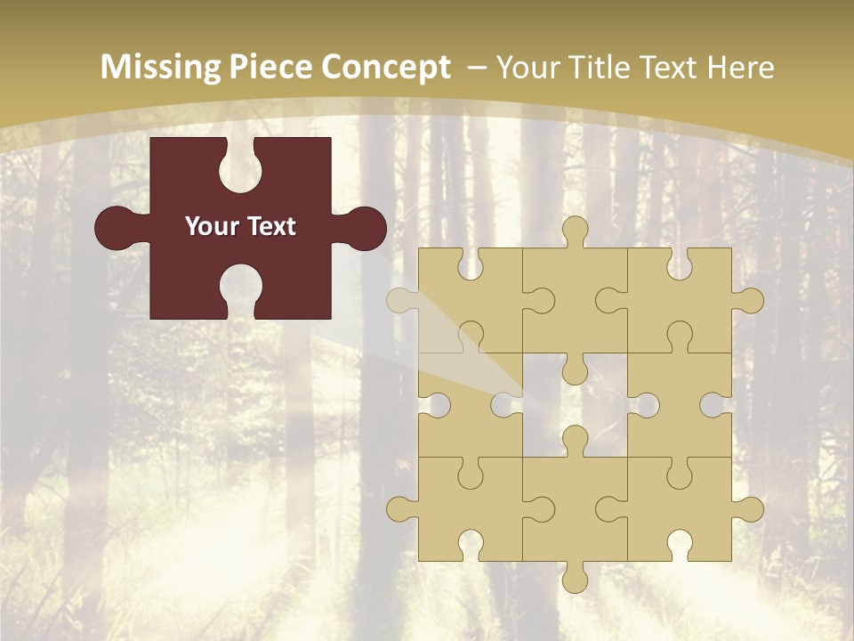 A Sunlit Forest Powerpoint Presentation PowerPoint Template