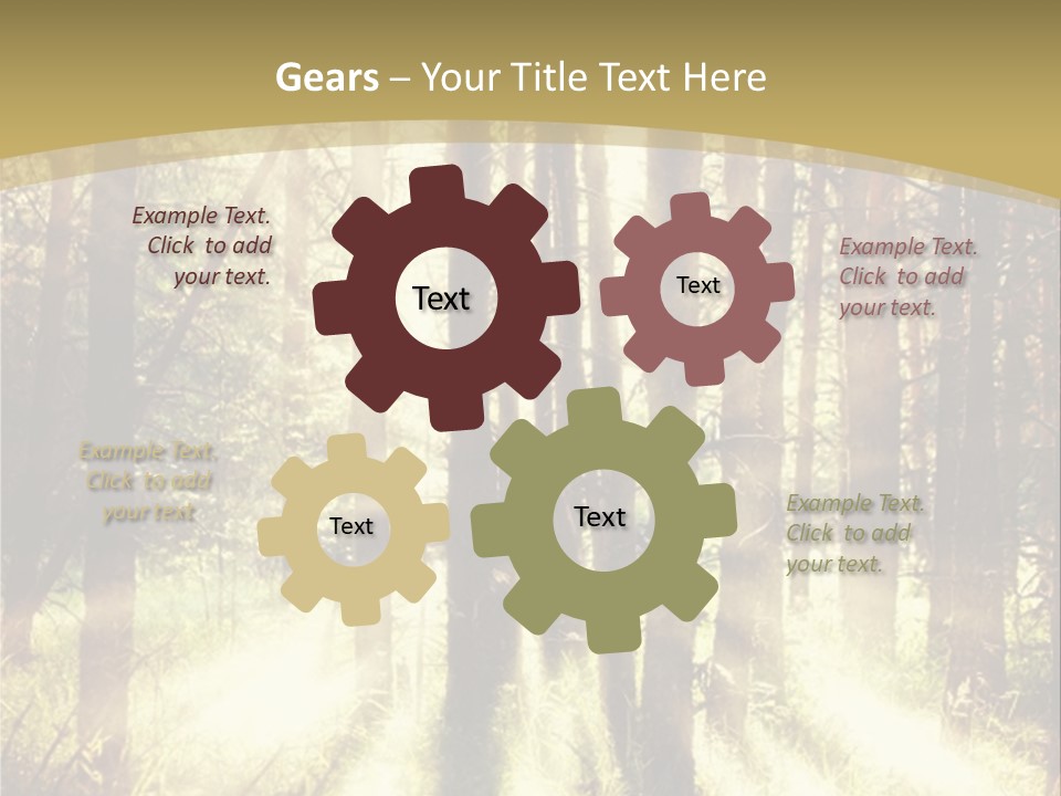 A Sunlit Forest Powerpoint Presentation PowerPoint Template