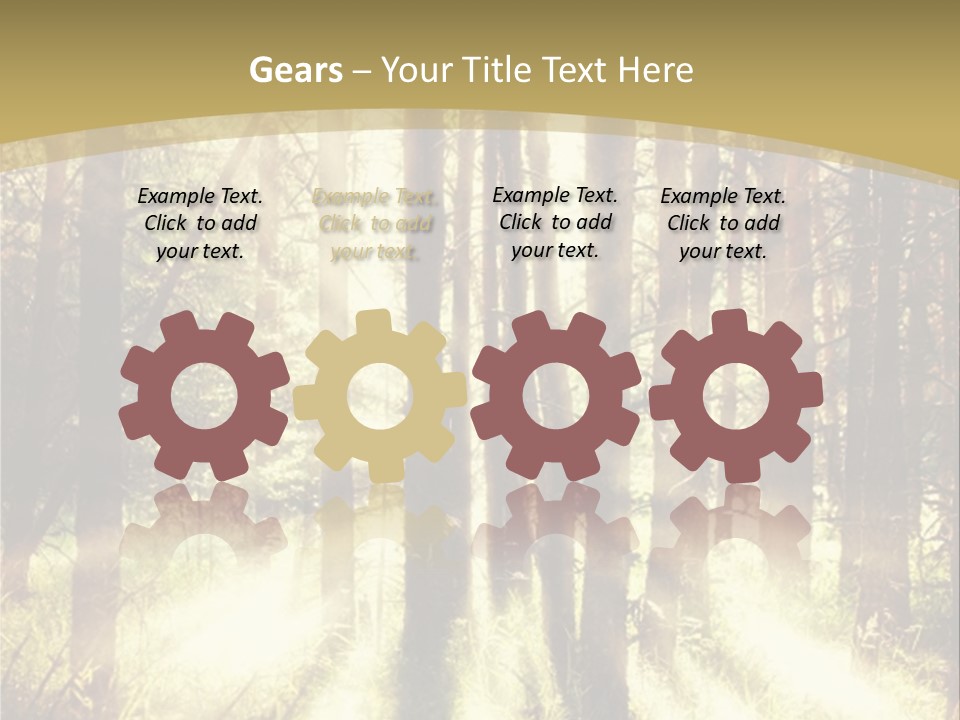 A Sunlit Forest Powerpoint Presentation PowerPoint Template