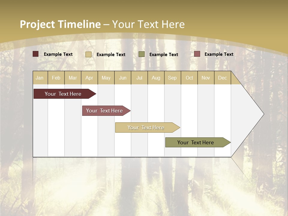 A Sunlit Forest Powerpoint Presentation PowerPoint Template