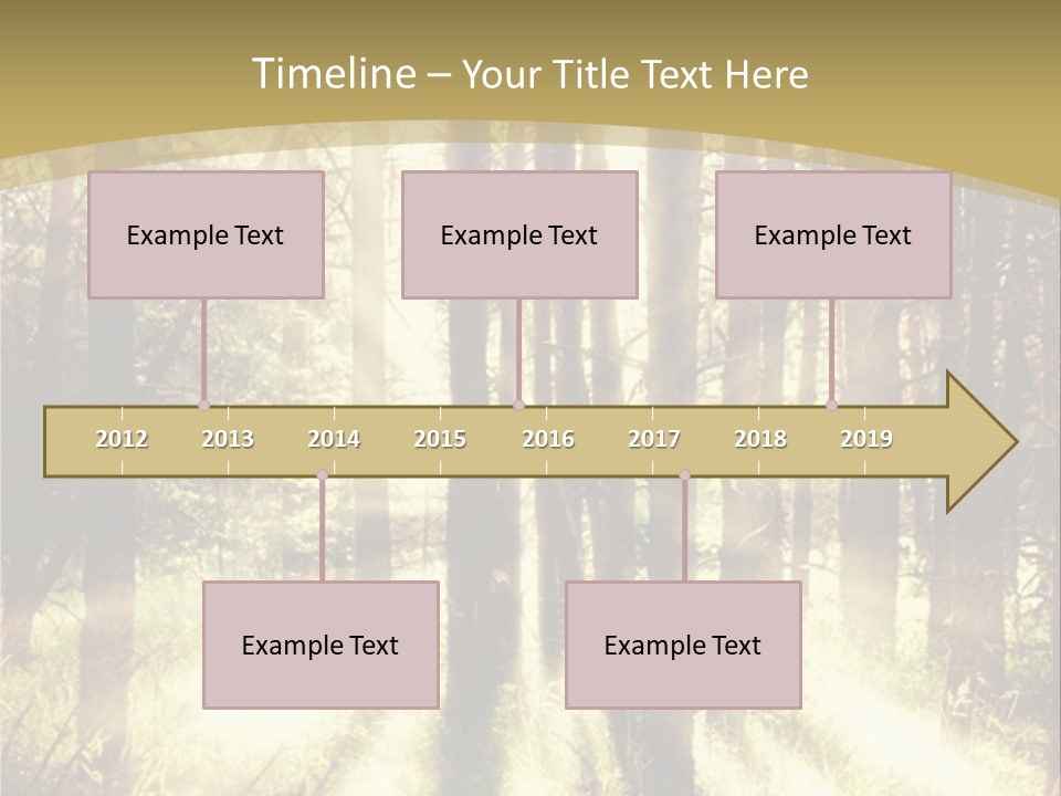 A Sunlit Forest Powerpoint Presentation PowerPoint Template