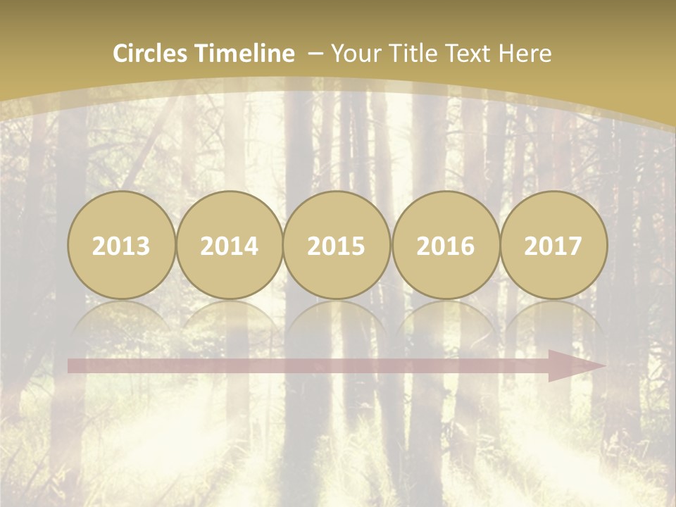 A Sunlit Forest Powerpoint Presentation PowerPoint Template
