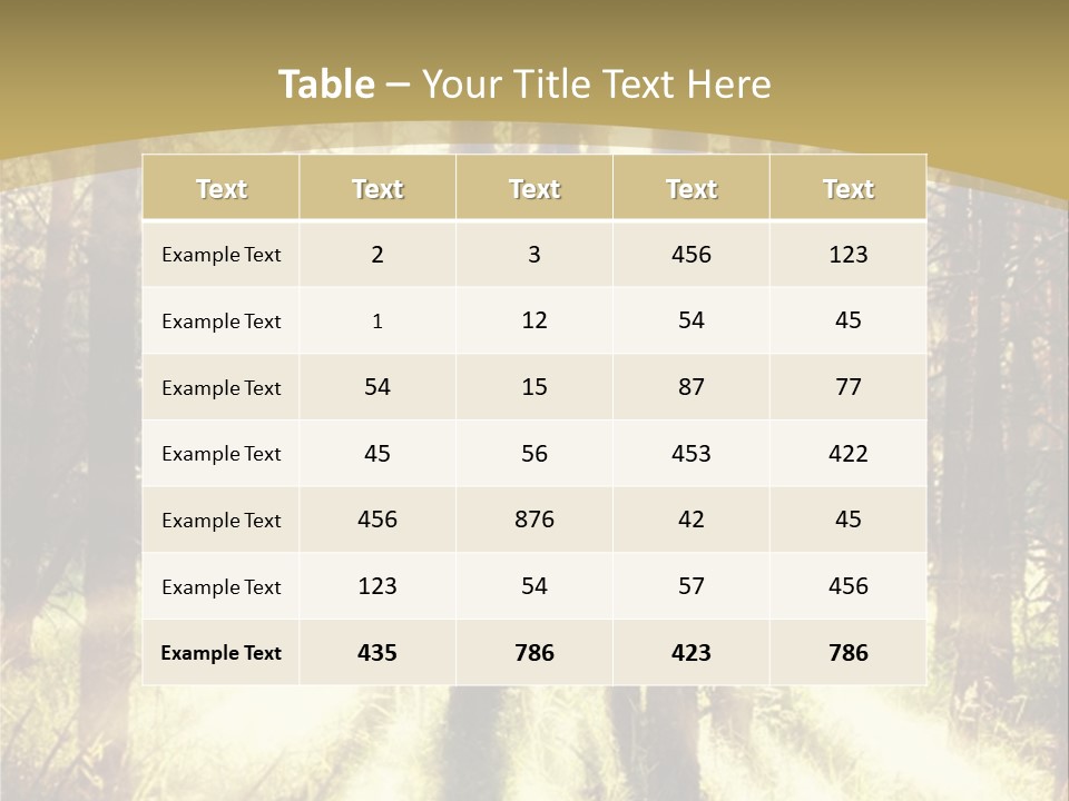 A Sunlit Forest Powerpoint Presentation PowerPoint Template