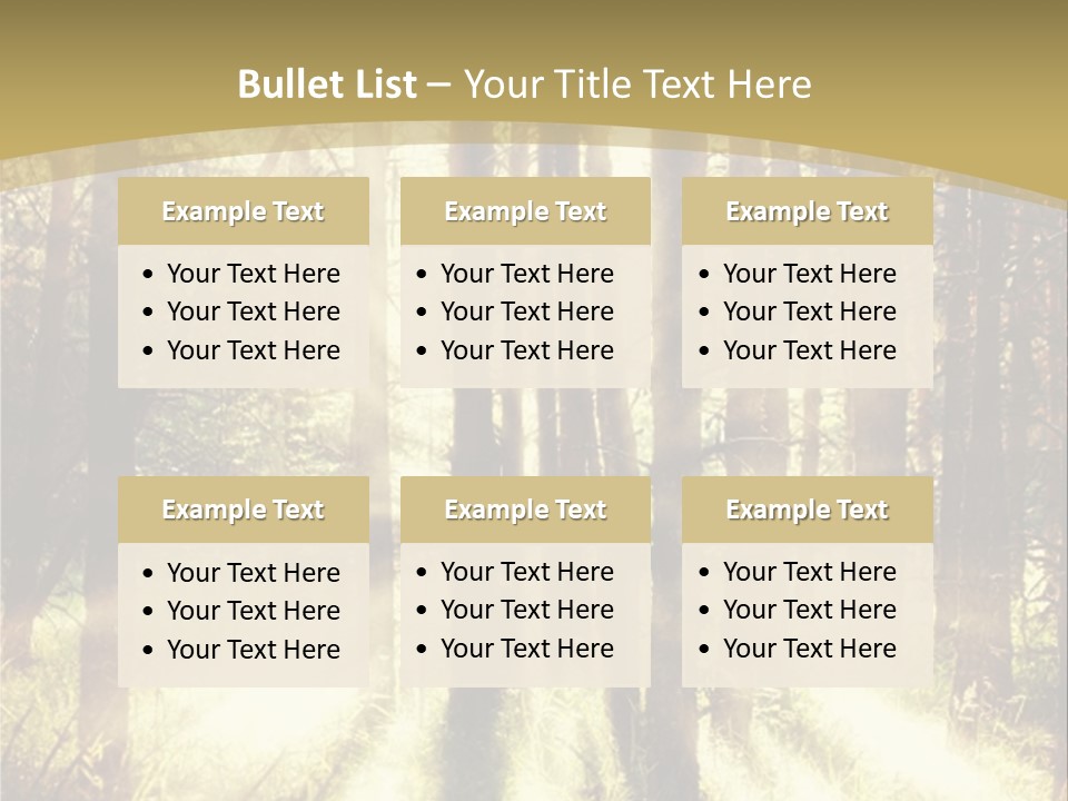 A Sunlit Forest Powerpoint Presentation PowerPoint Template