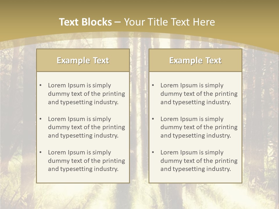 A Sunlit Forest Powerpoint Presentation PowerPoint Template
