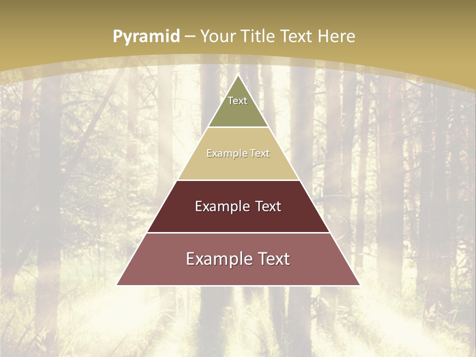 A Sunlit Forest Powerpoint Presentation PowerPoint Template
