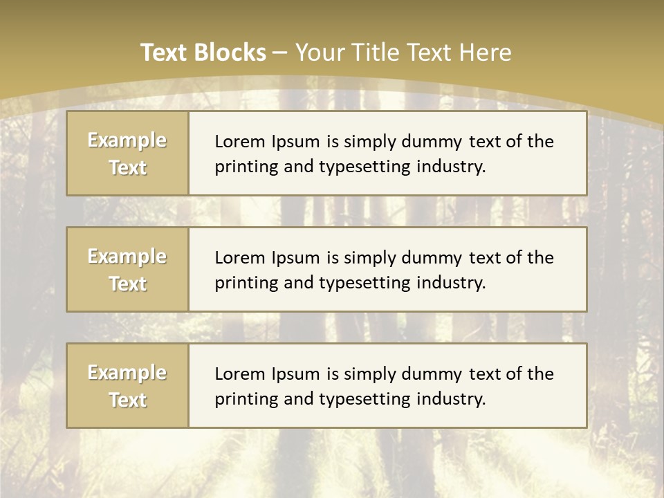 A Sunlit Forest Powerpoint Presentation PowerPoint Template