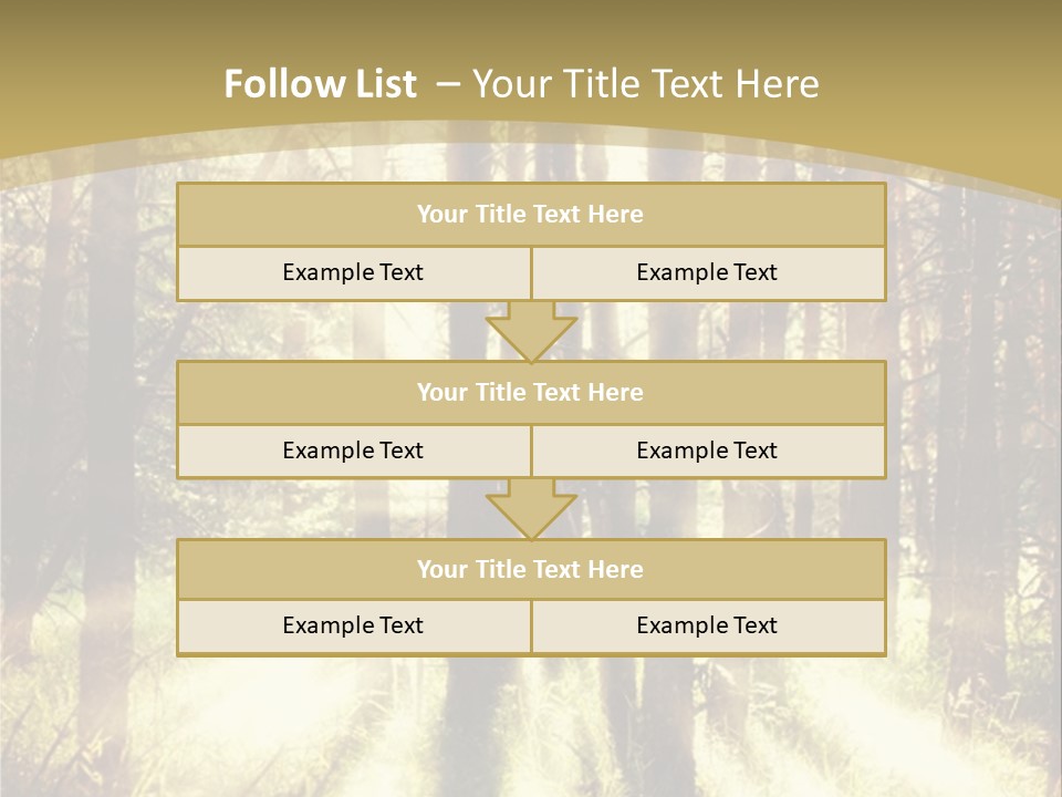 A Sunlit Forest Powerpoint Presentation PowerPoint Template
