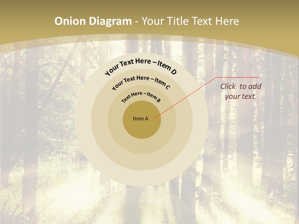 A Sunlit Forest Powerpoint Presentation PowerPoint Template