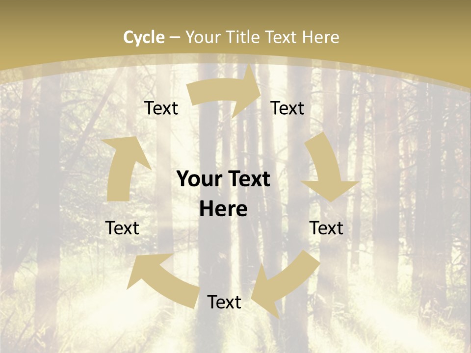A Sunlit Forest Powerpoint Presentation PowerPoint Template