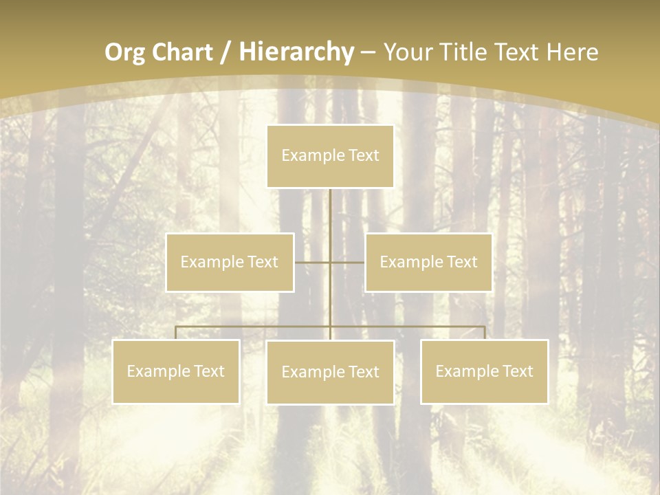 A Sunlit Forest Powerpoint Presentation PowerPoint Template