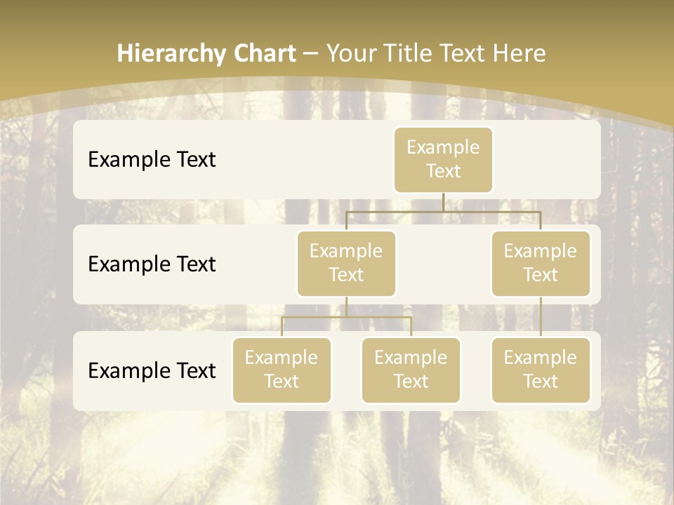 A Sunlit Forest Powerpoint Presentation PowerPoint Template