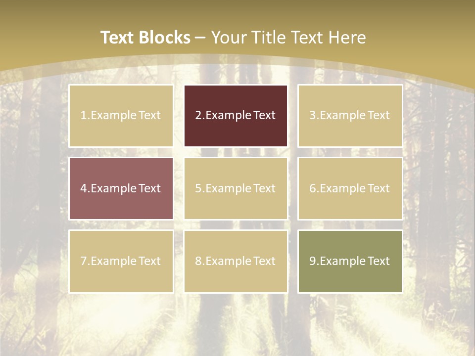 A Sunlit Forest Powerpoint Presentation PowerPoint Template