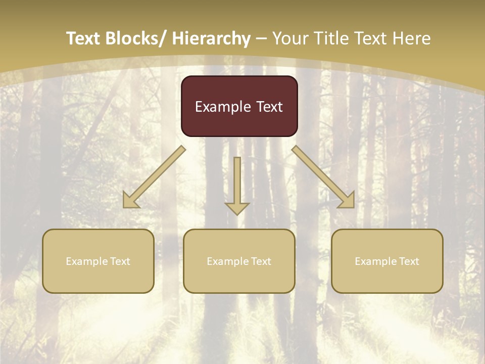 A Sunlit Forest Powerpoint Presentation PowerPoint Template