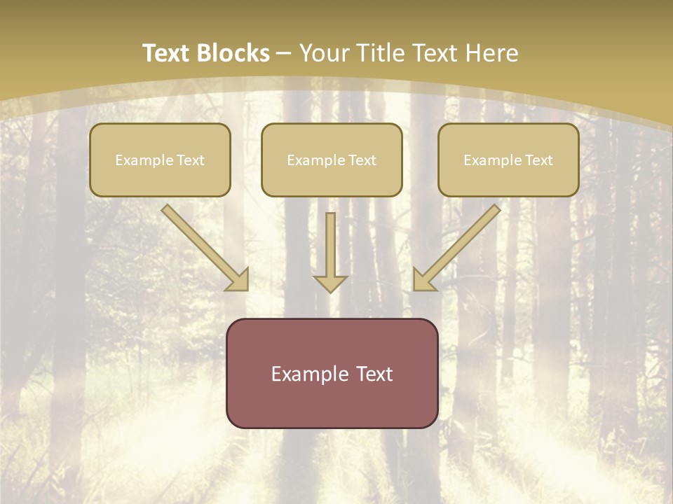 A Sunlit Forest Powerpoint Presentation PowerPoint Template