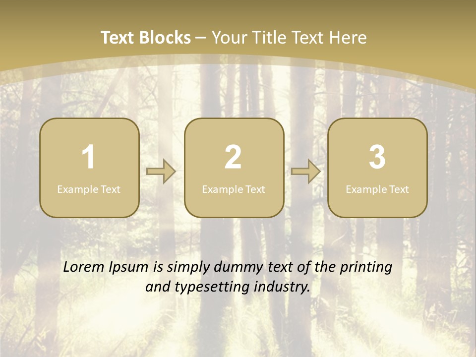 A Sunlit Forest Powerpoint Presentation PowerPoint Template