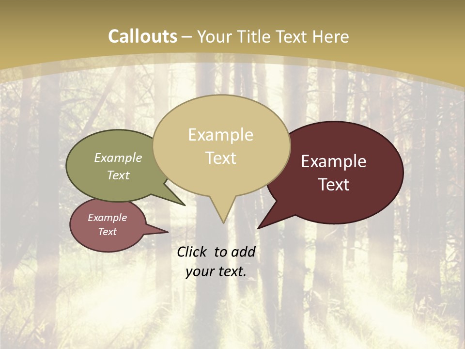 A Sunlit Forest Powerpoint Presentation PowerPoint Template