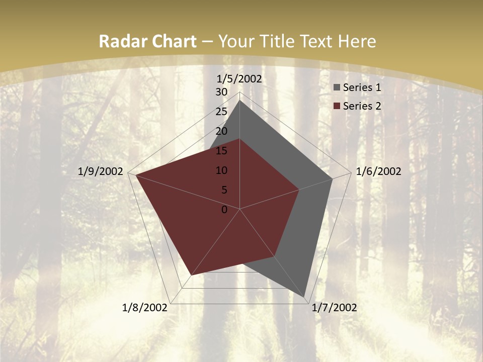 A Sunlit Forest Powerpoint Presentation PowerPoint Template