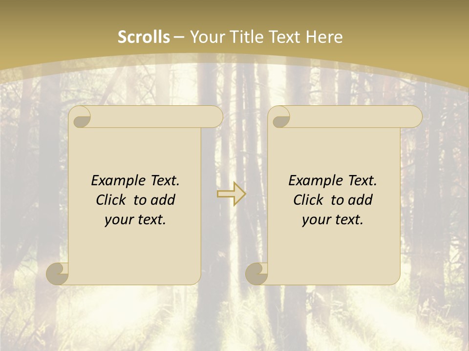 A Sunlit Forest Powerpoint Presentation PowerPoint Template