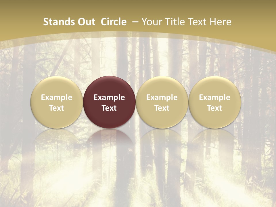A Sunlit Forest Powerpoint Presentation PowerPoint Template