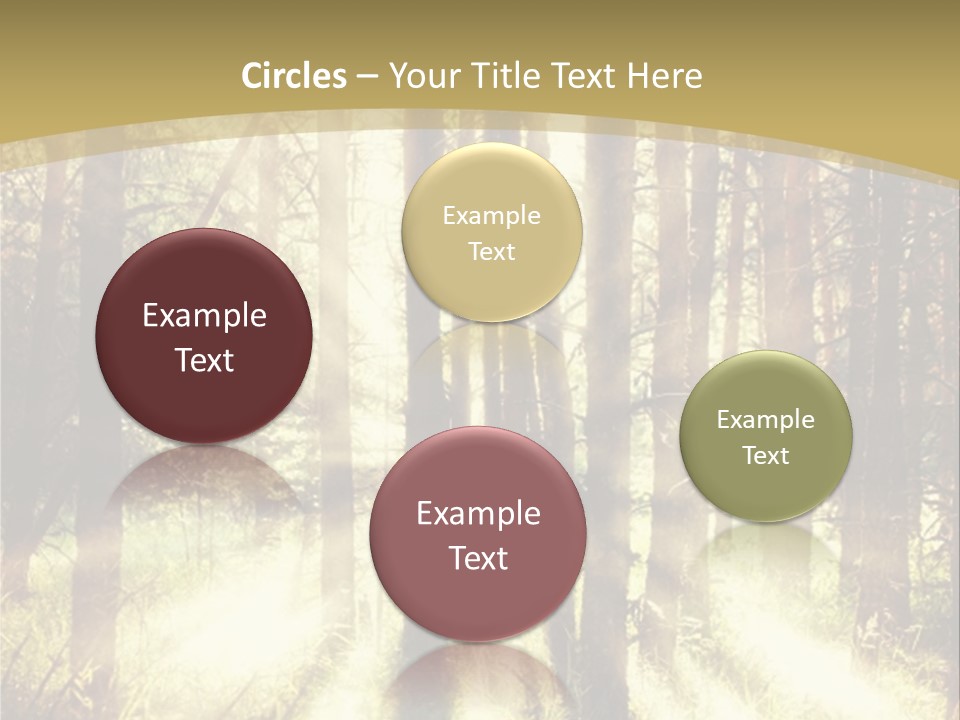 A Sunlit Forest Powerpoint Presentation PowerPoint Template