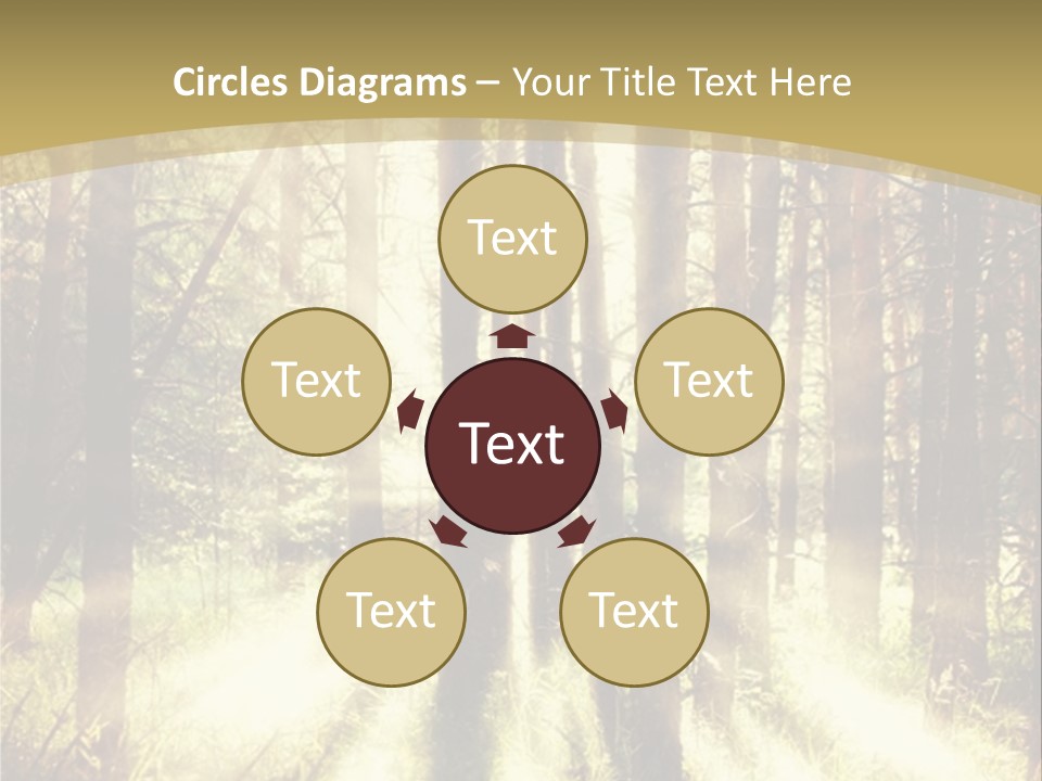 A Sunlit Forest Powerpoint Presentation PowerPoint Template