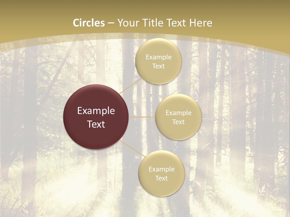 A Sunlit Forest Powerpoint Presentation PowerPoint Template