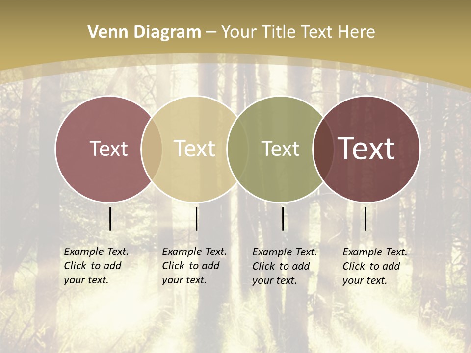A Sunlit Forest Powerpoint Presentation PowerPoint Template