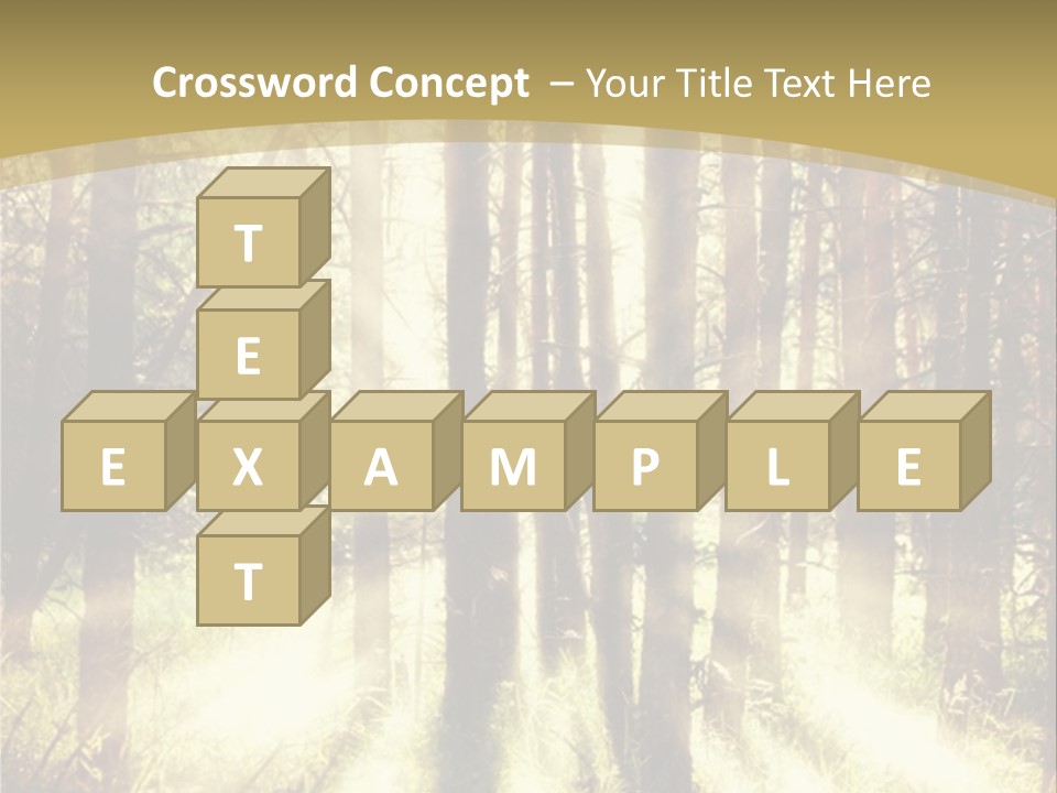A Sunlit Forest Powerpoint Presentation PowerPoint Template