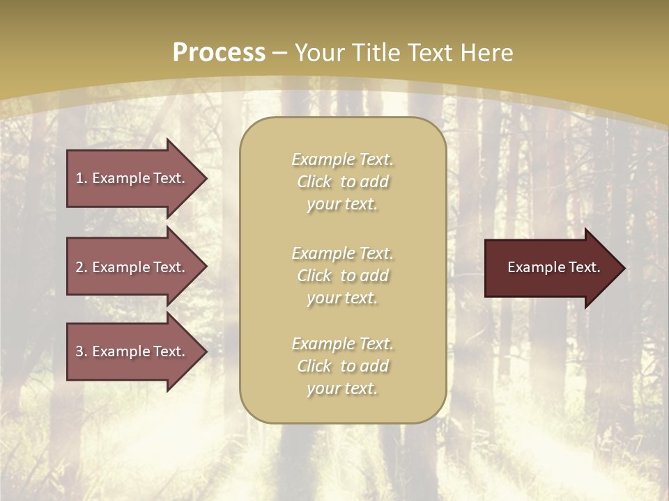A Sunlit Forest Powerpoint Presentation PowerPoint Template