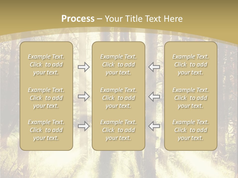 A Sunlit Forest Powerpoint Presentation PowerPoint Template