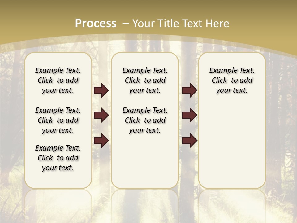 A Sunlit Forest Powerpoint Presentation PowerPoint Template