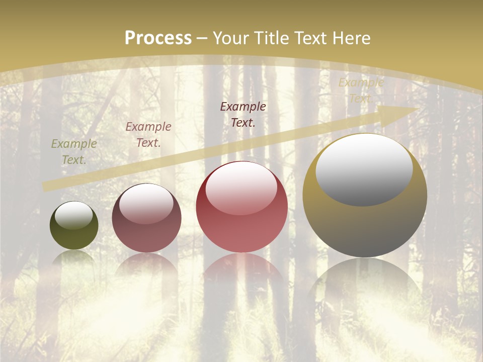 A Sunlit Forest Powerpoint Presentation PowerPoint Template